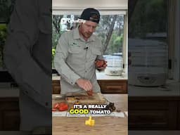 Cherokee Purple Tomato Taste Test