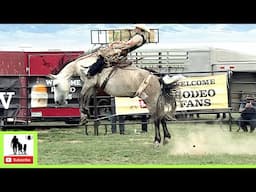Bronc Riding 1 - 2024 Tom Horn Days Cowboy Rendezvous | Saturday (Highlights)