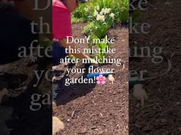 Don’t make this mistake when mulching your flower garden! 🌸👇🏻