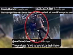 Those Dogs Deserve a Better Human - Chat Music