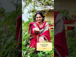 కృష్ణుడి మెడను అలంకరించే ఈ గింజలు మీకు తెలుసా ? @MADGARDENER  #plants  #gardening #garden