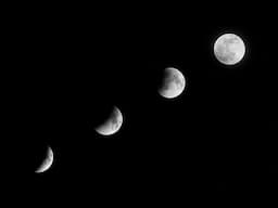 10 Interesting Scientific Discoveries for March, 2025