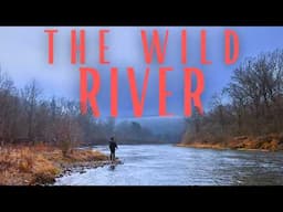 Fly Fishing Flyover Country: The Midwests best needs more rivers like this