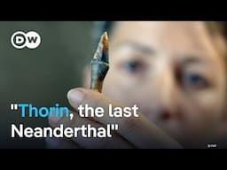Why did the Neanderthals die out? | DW Documentary