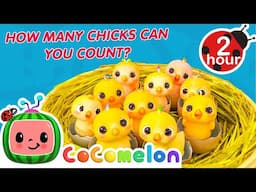 Numbers Song with Little Chicks + More CoComelon Number Songs and Nursery Rhymes | Toddler Learning