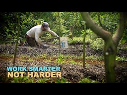 Management Based Kitchen Garden | Big Island Hawaii