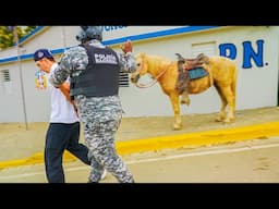 Arrested in The Dominican Republic!