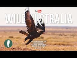 Secrets of the Outback | Wild Australia in 4K | Wildlife Nature Documentary
