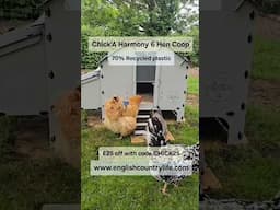 Quality Recycled Plastic Coop at Price You Won't Believe! #chickenhouse  #chickens #chickencoop