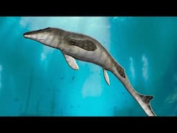 A Giant Mosasaurus On The Official Servers...