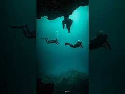 This. This is why we dive 🙌 @fonsiventures @titobench