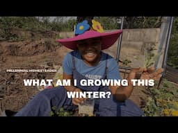 Vegetables you must grow in winter | Easy winter garden set-up | Using green fertilizers (comfrey)