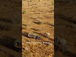 An 8 country trip to Africa - beaches, wildlife, safaris & hidden gems #travel #safari #visitafrica