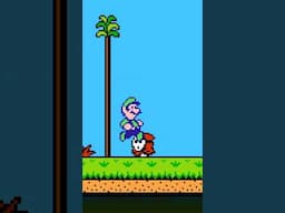 Double Jump Trick in Super Mario 2! 👀