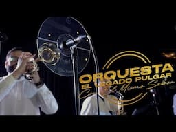 EL LEGADO PULGAR - TABAQUERA