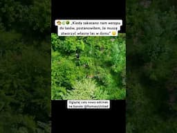 👨‍🌾🌿🌳 Kiedy zakazano nam wstępu do lasów, postanowiłem, że muszę stworzyć własny las w domu