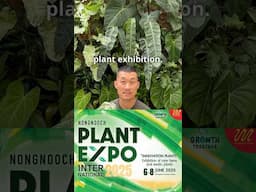 Nong Nooch Plant Exhibition 🇹🇭 June 6-8th!