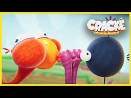 Too Many Cupcakes! | NEW Cracké Family Scramble