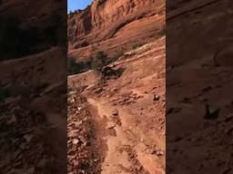 I almost went the wrong way, it would’ve been bad. I can’t believe this is an Arizona!￼