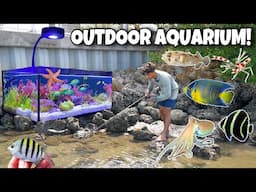 Catching MICRO EXOTIC FISH For My OUTDOOR AQUARIUM!!
