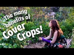 Cover Crops Explained: Answers to Your Most Asked Questions!