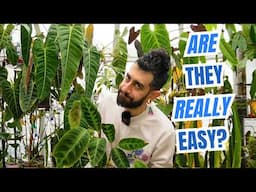 🌱 Plant Label LIES: What They Don’t Tell You About Care Tips!