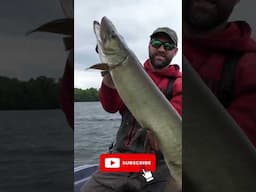 CRAZY Topwater Musky JUMPS OUT OF WATER!!! #shorts #fishing #muskyfishing #fishinglife #fishingvideo