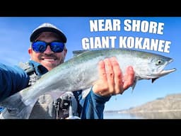 Giant Near Shore Kokanee