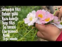 Doğadan Mevsim salatası 😊