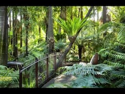 Andrew Laidlaw at The Royal Botanic Gardens Melbourne