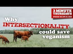 Why Vegans Need to be Intersectional - And NOW.