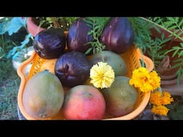 Appreciating Our Garden Family