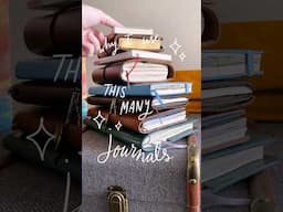 Why I use this many notebooks - about my journaling system 📚 #shorts