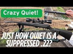 How Quiet Is A Suppressed .22 Rifle? | Suppressor Set Up | Comparing .22 Ammo