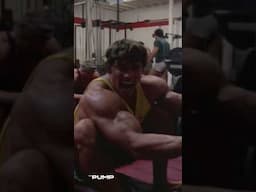 Seated Cable Rows - Arnold Schwarzenegger  #bodybuilding #aestheic #motivation