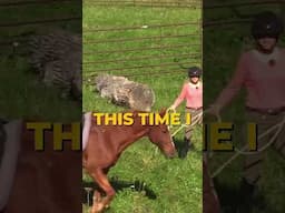 Paula Curtis presenting: Log To Jump Into The Canter