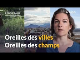 Ville, montagne, forêt : comment notre environnement influence notre audition | REPORTAGE