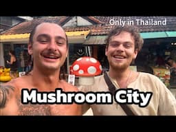 I Visited Thailand’s Mushroom City