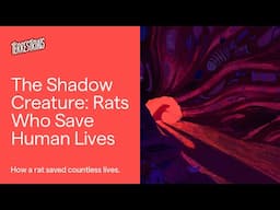 The Shadow Creature: Rats Who Save Human Lives | Terrestrials | Radiolab for Kids Podcast