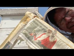 I Put Newspaper In My Beehive