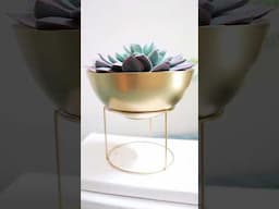 High-End Dollar Tree Hacks For Home Decor! Cheap And Easy DIYs!