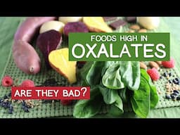 Are OXALATES Bad? What YOU Need to Know, PART I