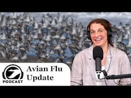 Reassortment and Genetic Change in Bird Flu (Avian Influenza) - Why It Matters | DU Podcast