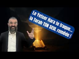Le Yetser Hara te traque… la Torah TON SEUL remède ! - 89 - LIVRE NÉFECH HA'HAIM - RAV NAKACHE