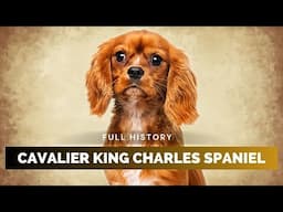 Cavalier King Charles Spaniel - Full History
