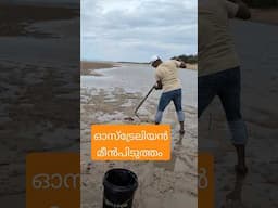 ഈ ഓസ്‌ട്രേലിയൻ കടൽ ജീവിയുടെ മലയാളം പേരെന്താണ്? #fishing #fishingvideo #australianjeevitham