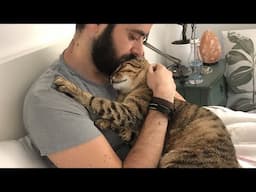 You Thought You Got a Cat...But It’s Actually a Shadow - Cute moments cat and human
