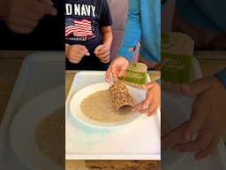 We made a bird feeder with peanut butter 🦜 Easy activity for kids and toddlers #forkids