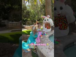 The tales of Phoenix and the Easter (Dino)Bunny… or the Easter Bunny-saur?