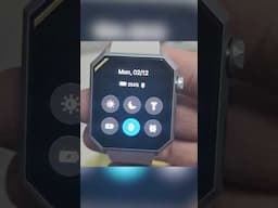 Reality of Layer's Anarc Watch - 5 Months Later